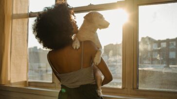 Φωτογραφία από Samson Katt